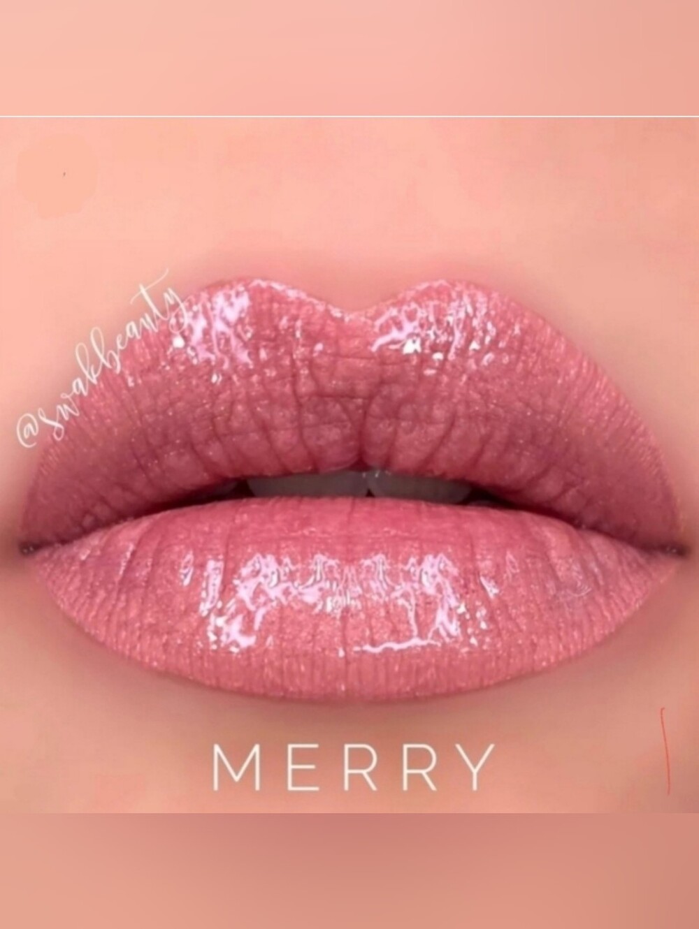 LAST ONE! MERRY Mini LipSense